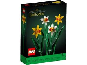 daffodils 40646