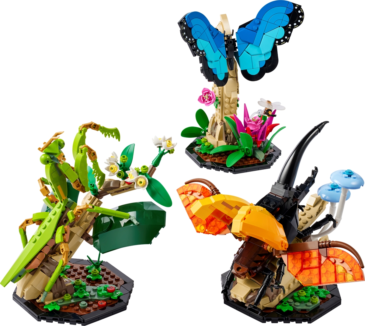 LEGO Collezione di insetti 21342 – 79,99 €